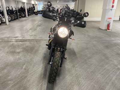 Triumph Scrambler 900 2024