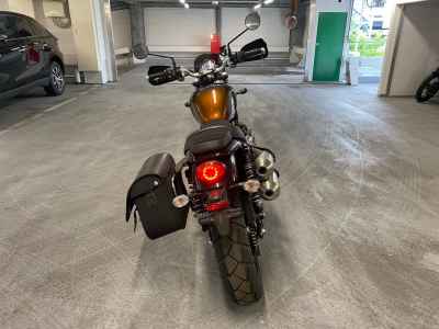 Triumph Scrambler 900 2024