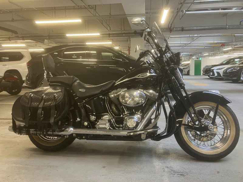 Harley-Davidson FLSTSC1450 2004