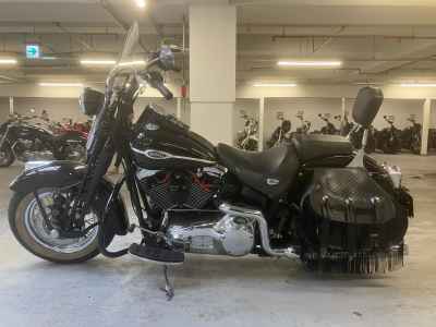 Harley-Davidson FLSTSC1450 2004