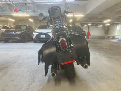 Harley-Davidson FLSTSC1450 2004