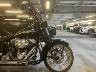 Harley-Davidson FLSTSC1450 2004