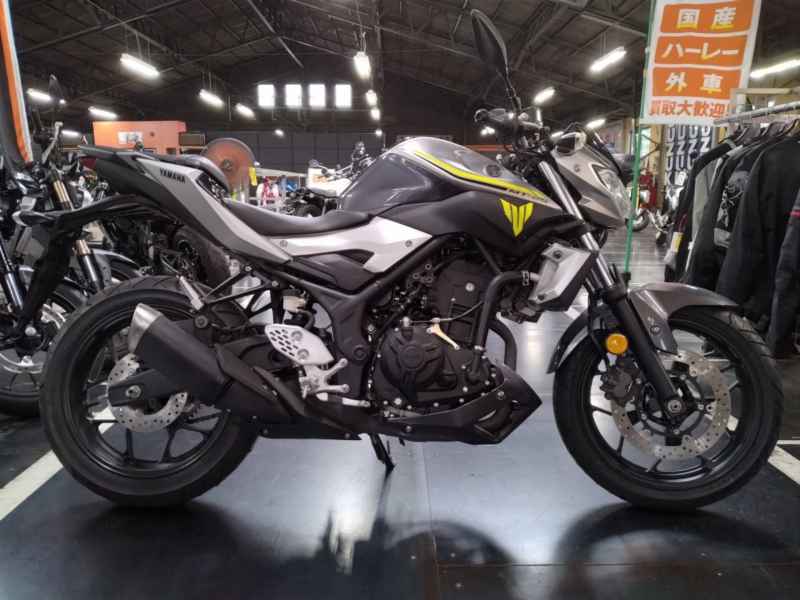 Yamaha MT-25 2017