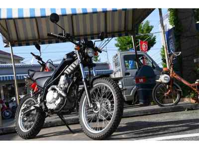 Yamaha TRICKER 2010