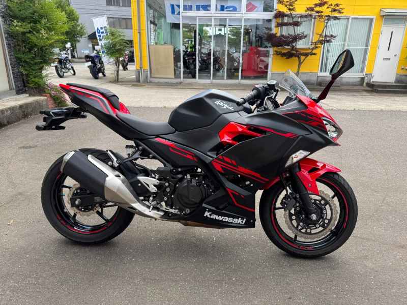 Kawasaki Ninja 250 2018