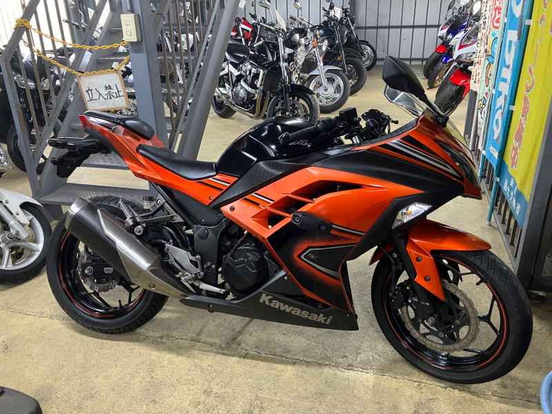 Kawasaki Ninja 250 2014