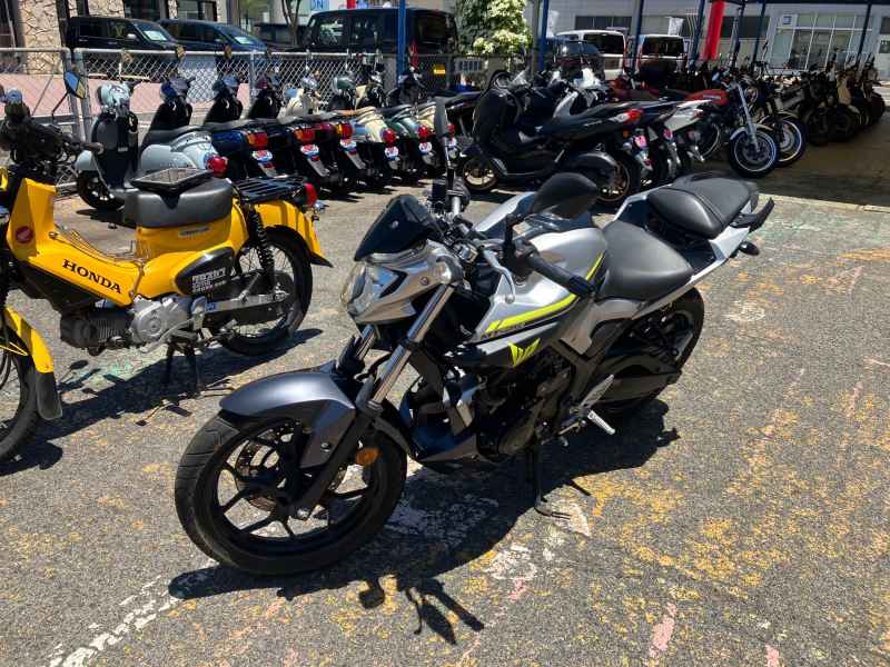 Yamaha MT-25 2017