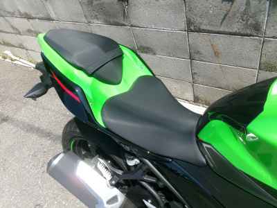 Kawasaki Ninja 250 KRT Edition 2021