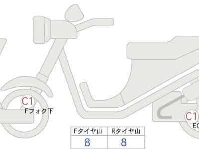 Harley-Davidson FXST 2025