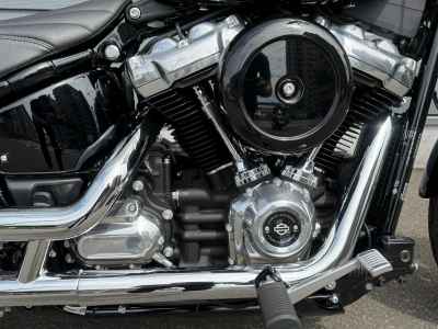 Harley-Davidson FXST 2025