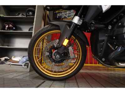 BMW R1300GS 2024