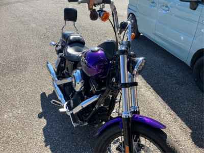 Harley-Davidson Street Bob FXDB1580 2015