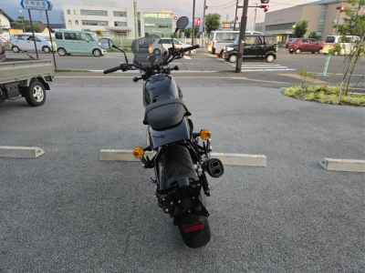Harley-Davidson X500 2024