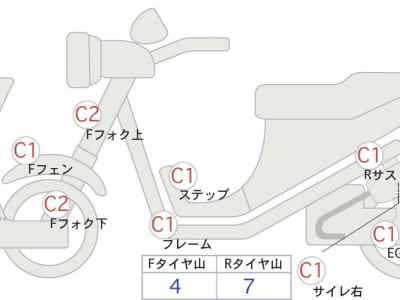 Kawasaki W800 Final Edition 2020