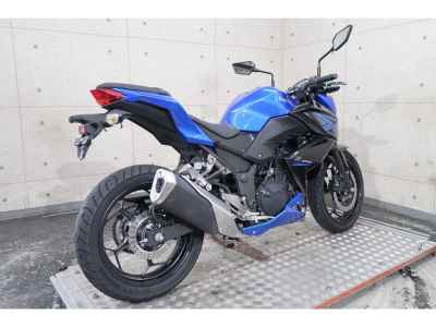 Kawasaki Z250 2015