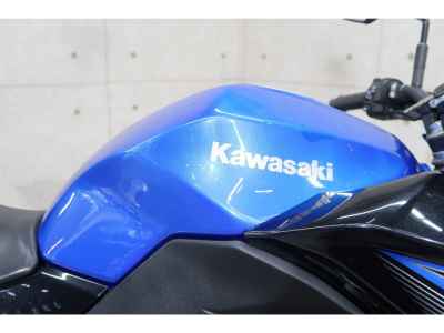 Kawasaki Z250 2015