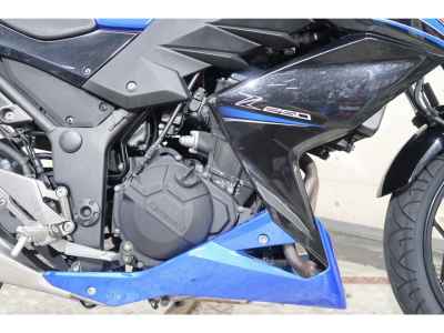 Kawasaki Z250 2015