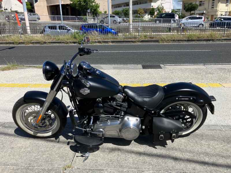 Harley-Davidson Slim FLS1690 2019