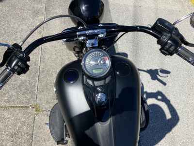 Harley-Davidson Slim FLS1690 2019