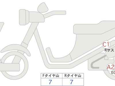 Kawasaki W800 Street 2022
