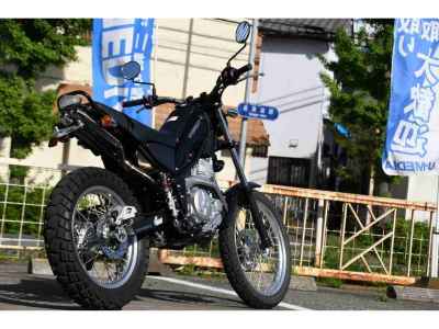 Yamaha TRICKER 2010