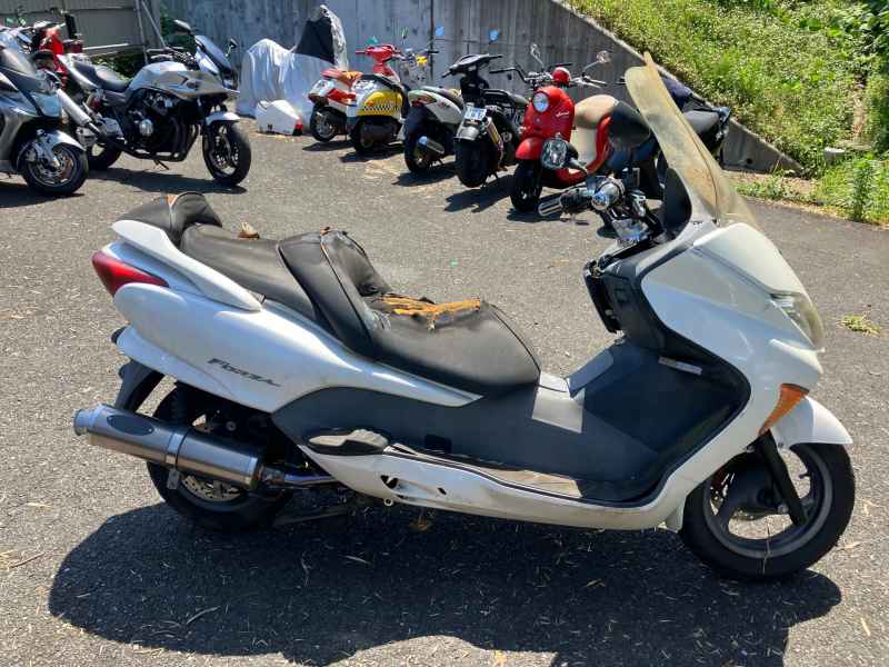 Honda Forza 2004