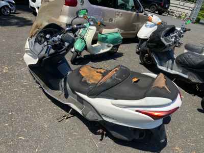 Honda Forza 2004
