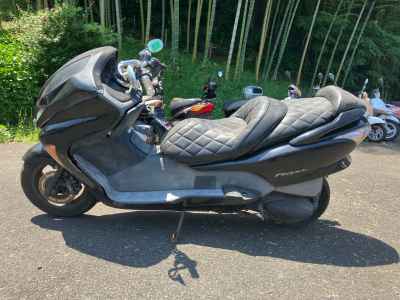 Honda Forza Z 2006