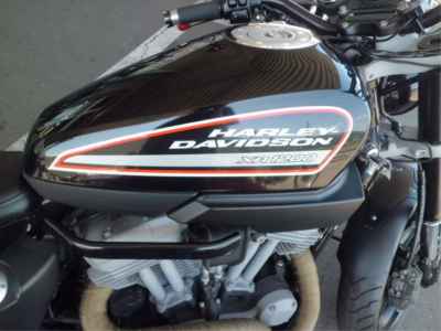 Harley-Davidson XR1200 2009