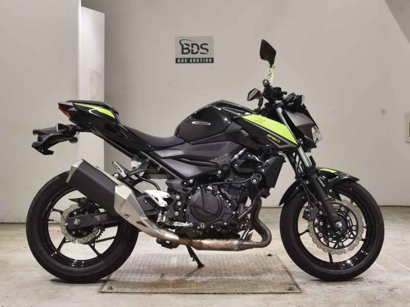 Kawasaki Z250 2022