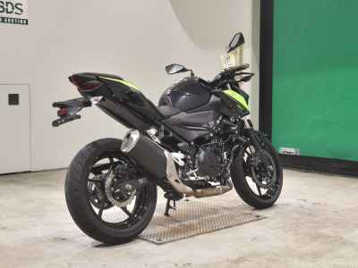 Kawasaki Z250 2022