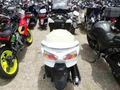Honda Forza Z 2008