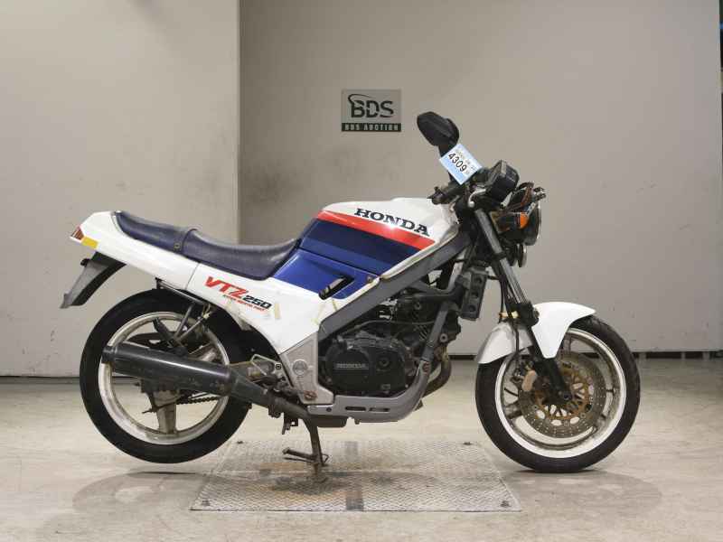 Honda VTZ250 1987