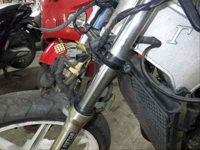 Suzuki RG500 Gamma 1987