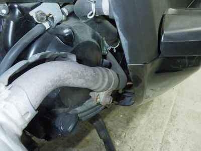 Honda Forza Z 2007