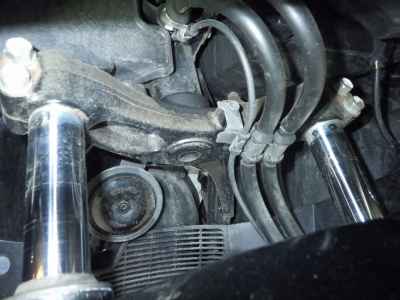 Honda Forza Z 2007