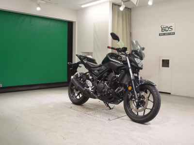 Yamaha MT-25 2019