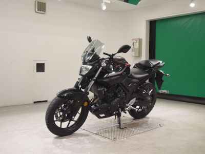 Yamaha MT-25 2019