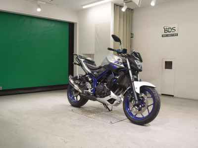 Yamaha MT-25 2016