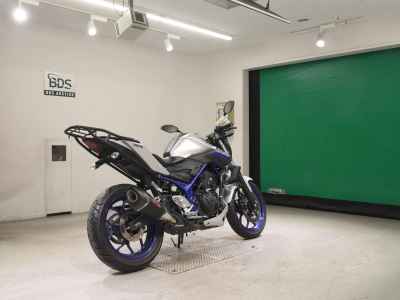 Yamaha MT-25 2016