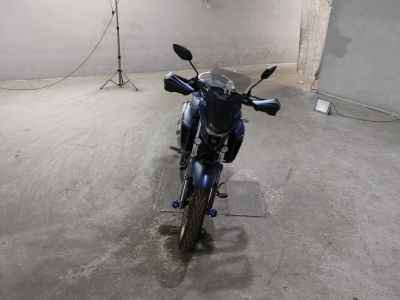 Yamaha FZS25 2021