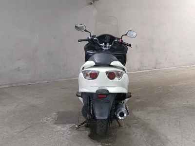 Honda Forza Z 2006