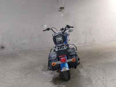 Harley-Davidson FLSTC1450 2005
