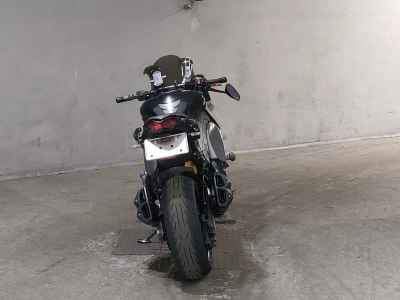 Kawasaki Ninja 1000 2014