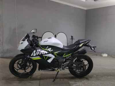 Kawasaki Ninja 250 2020
