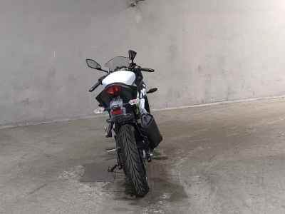 Kawasaki Ninja 250 2020