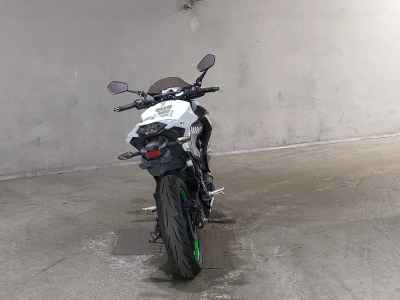 Kawasaki Z250 2014