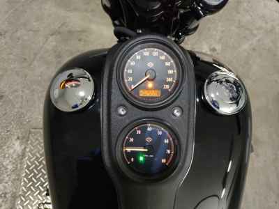 Harley-Davidson FXDLS1800 2017
