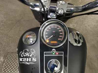 Harley-Davidson FLSTFB1580 2011
