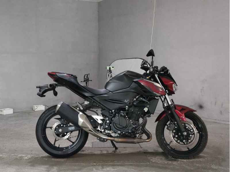 Kawasaki Z250 2019